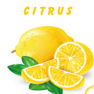 Citrus Duft